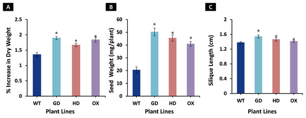 Growth analysis of transgenic lines expressing cyanobacterial GDH, HDH and ODC.