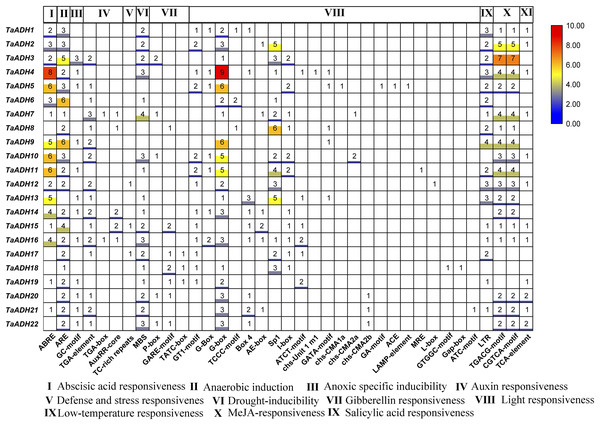 The expression of TaADH genes in various tissues.
