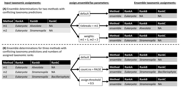 Schematic diagram demonstrating ensemble taxonomic assignment determinations by the assign.ensembleTax algorithm for different combinations of input taxonomic assignments and arguments.