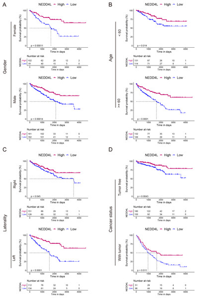 Prognostic analysis of NEDD4L in ccRCC patients grouped by sex, age, laterality, and cancer status.