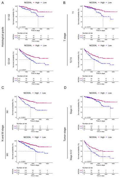 Prognostic analysis of NEDD4L in ccRCC patients grouped by histological grade, TNM stage, and tumor stage.