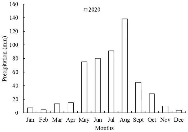 Mean monthly precipitations at the experiment station in 2020.