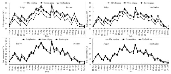 Soil temperatures in furrows and on ridge tops in 0–25 cm soil depth in various treatments.