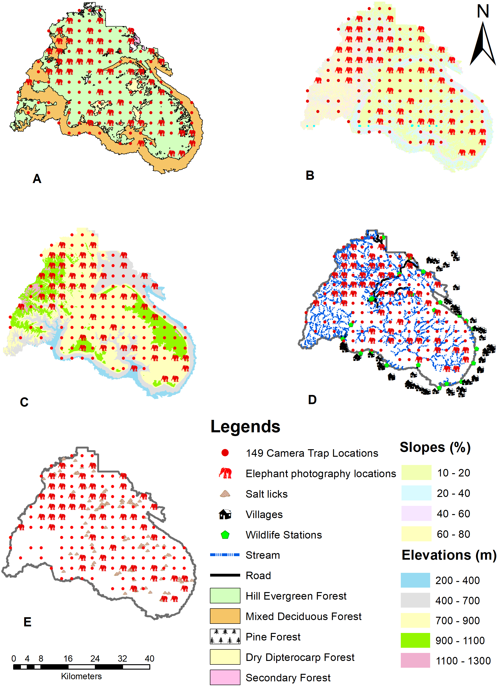 Population and distribution of wild Asian elephants (Elephas maximus