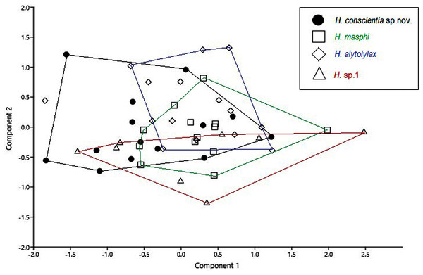 Principal component analysis from morphometric variables of the species of the Hylocirtus alytolylax complex.