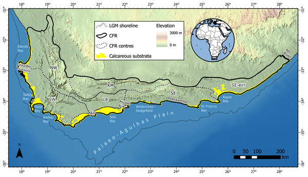 Distribution of calcareous substrata (coastal dunes and calcarenites) along the southwestern, southern and southeastern coasts of South Africa with which the coastal flora of the Cape Floristic Region (CFR) is associated.