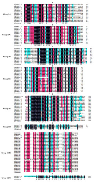 Multiple sequence alignments of the WRKY domains of from DgWRKYs.