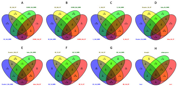 Venn diagram of different comparison groups.