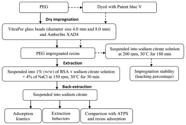 Schematic overview of the experiment.