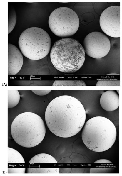SEM image analysis of Amberlite XAD4 before (A) and after (B) impregnation under 50× magnification.