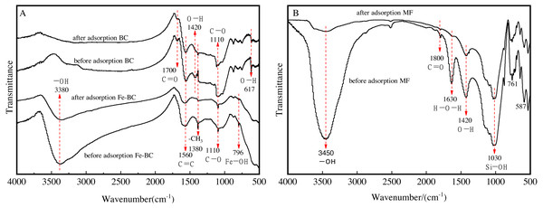 FTIR spectra of BC and Fe-BC500 (A), and MF (B) before and after adsorption of Cu and Cd.