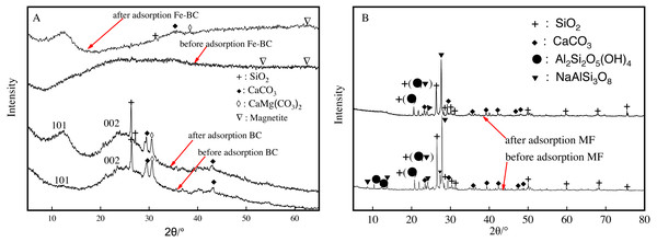 XRD patterns of BC and Fe-BC (A) and MF (B) amendments before and after adsorption of Cu and Cd.