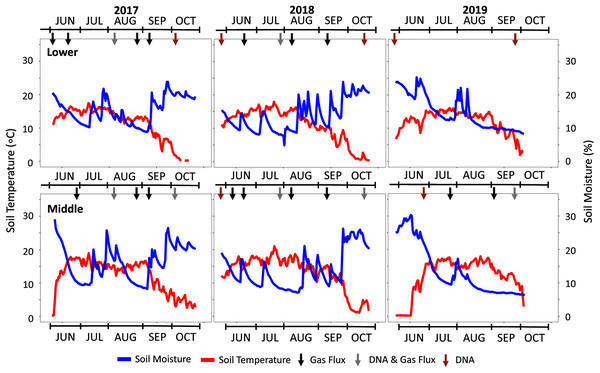 Seasonal soil temperature and moisture data across the three study years.