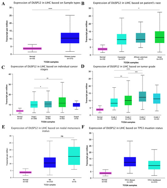 DUSP12 expression in the Ualcan database