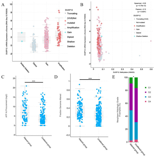 Clinical features of HCC patients with or without alteration of DUSP12 expression.