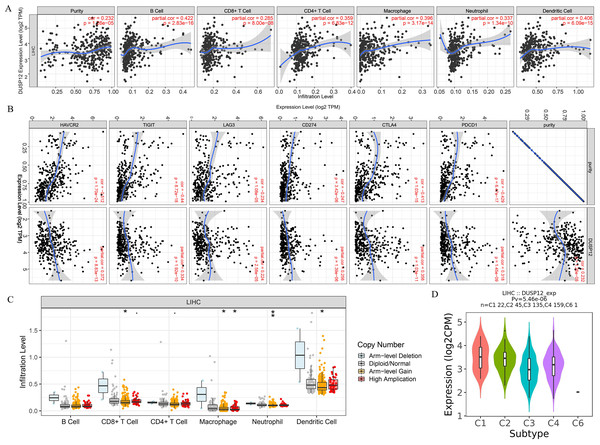 Correlation between DUSP12 expression and number of tumor-infiltrating immune cells.