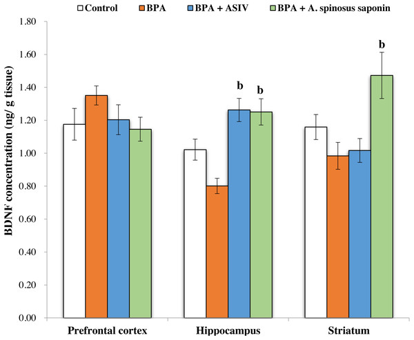 Effect of treatments on brain derived neurotrophic factor (BDNF) concentration in different regions of brain in the studied groups.