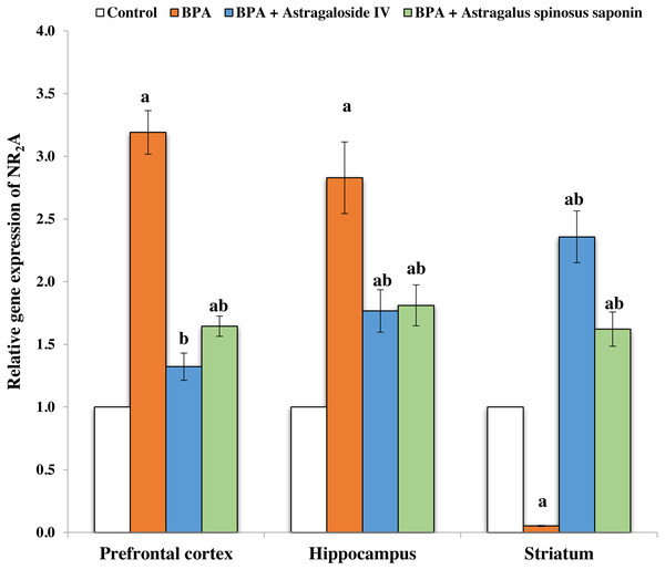Effect of treatments on the relative mRNA expression levels of NR2A in different regions of brain in the studied groups.
