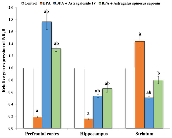 Effect of treatments on the relative mRNA expression levels of NR2B in different regions of brain in the studied groups.