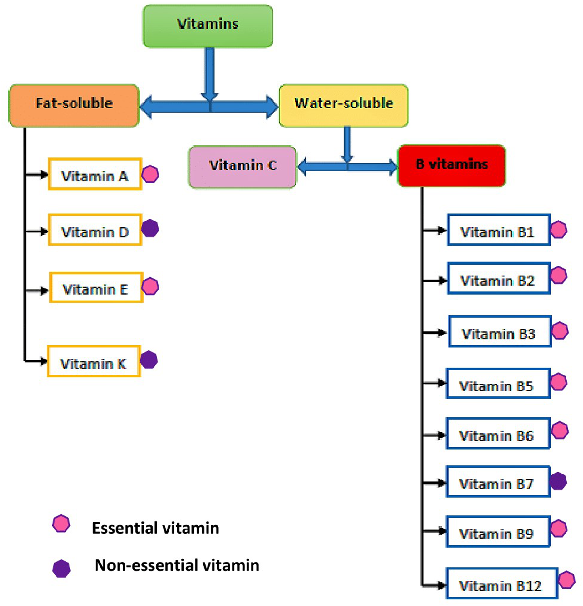 Revisiting Food sourced Vitamins For Consumer Diet And Health Needs A 