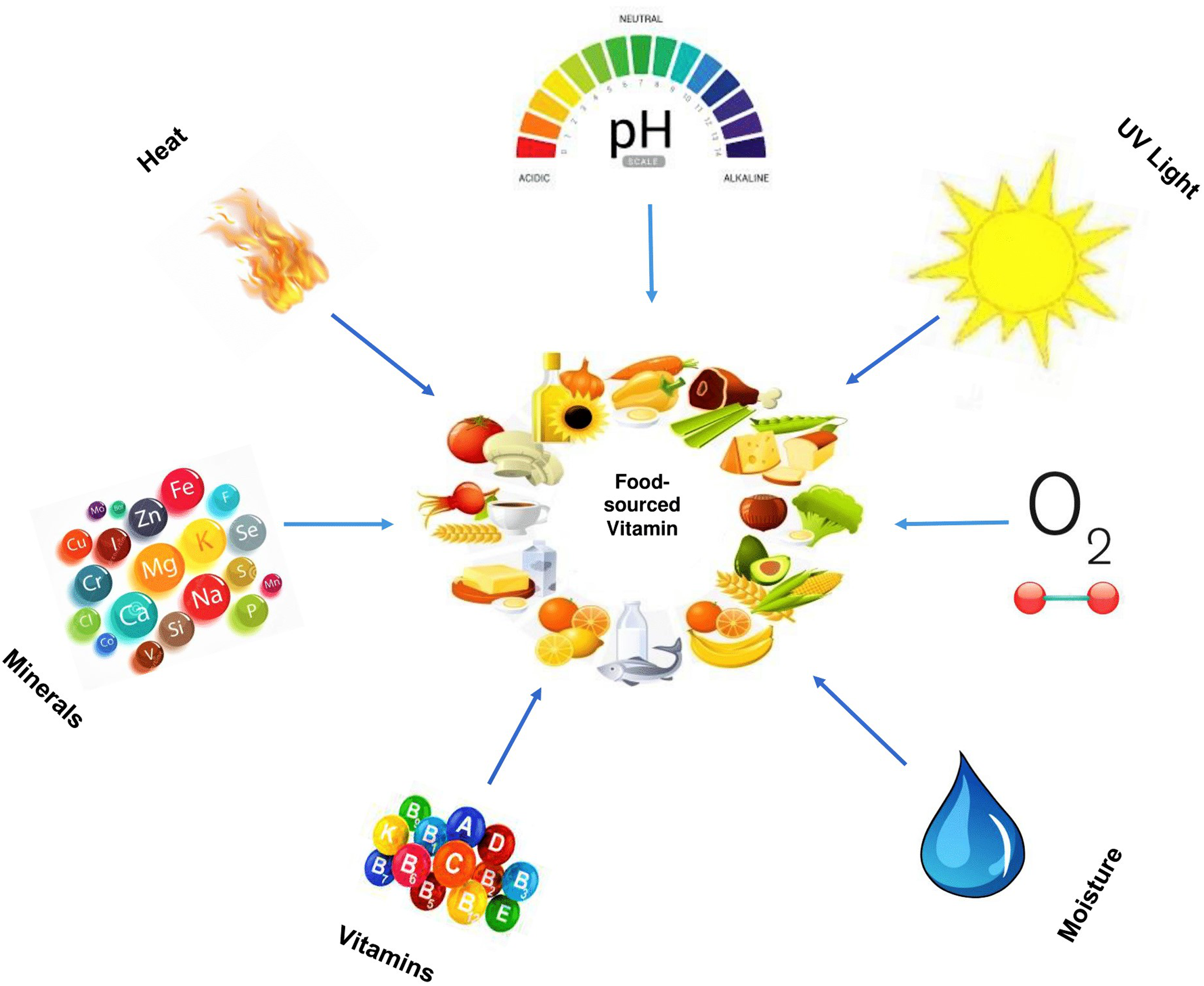 Revisiting Food Sourced Vitamins For Consumer Diet And Health Needs A Perspective Review From Vitamin Classification Metabolic Functions Absorption Utilization To Balancing Nutritional Requirements Peerj