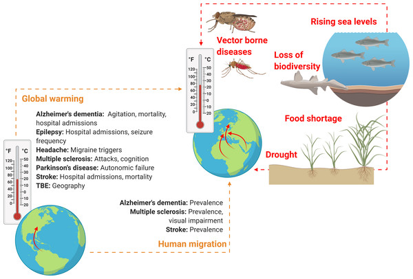 Schematic overview on how climate change might soon impact neurological practice.