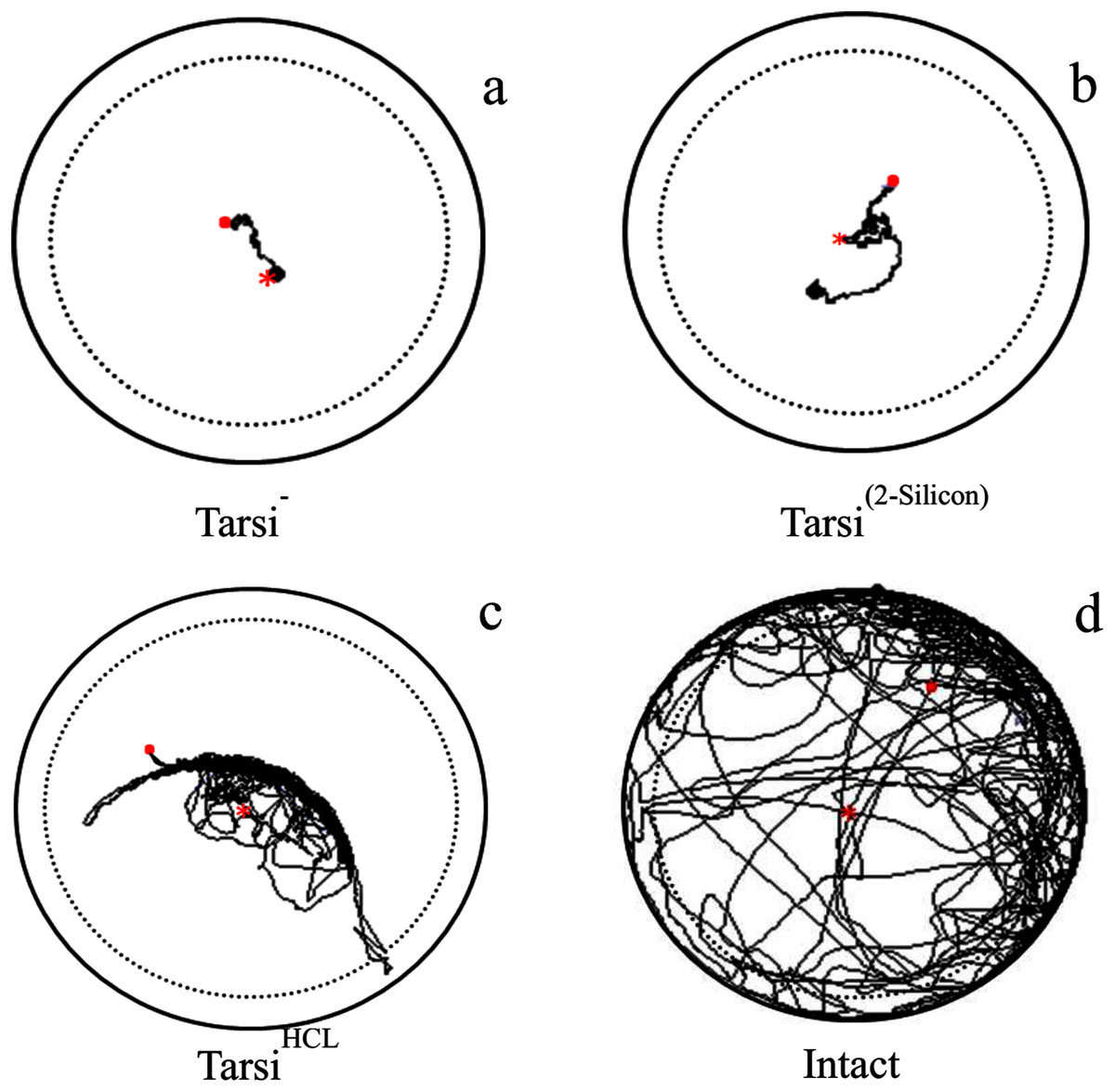 The mechanics clarifying counterclockwise rotation in most IVF eggs in mice