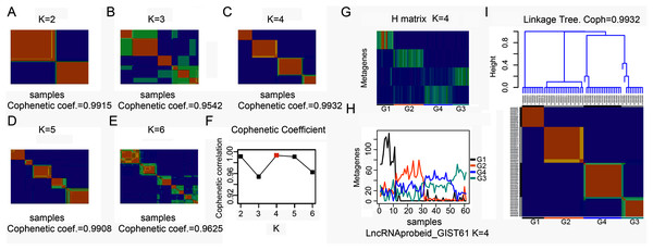 Classification of GISTs into four subtypes based on extracted lncRNA profiles.