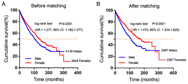 Cumulative survival curves of GIST patients stratified by gender from SEER database.