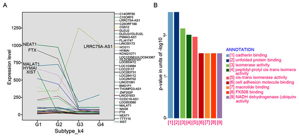 LncRNAs markers selection.