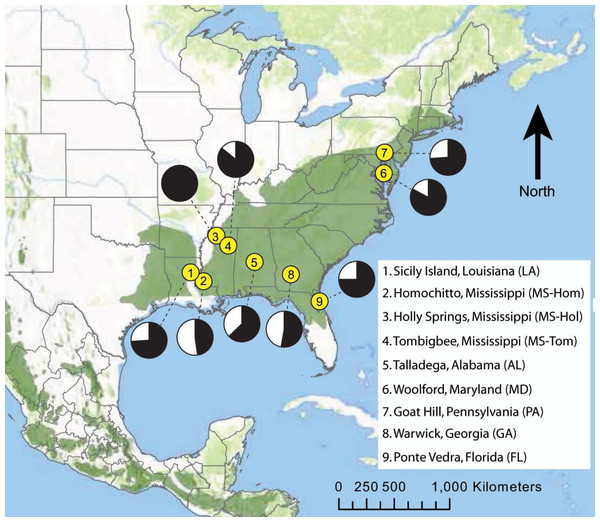 Map of eastern North America showing the locations of nine D. frontalis sampling sites (numbered yellow dots).