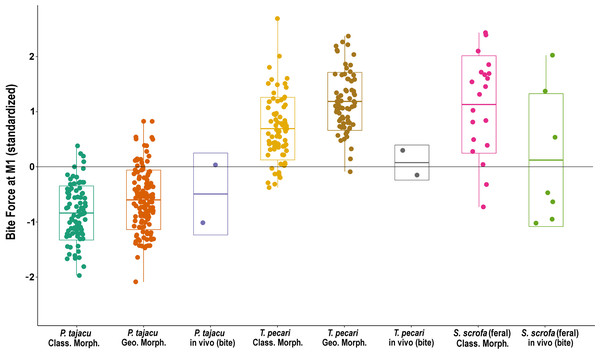 Box-plot with the standardized values of bite forces estimated by the two morphometric-proxies methods and the in vivo measurements, according to the species.