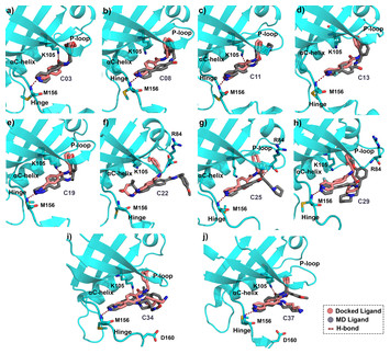 Designing of the N-ethyl-4-(pyridin-4-yl)benzamide based potent ROCK1 ...