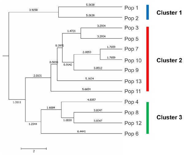 The UPGMA (unweight pair-group method with arithmetic means) dendrogram generated cluster analysis based on EST-SSR data of 13 C. dactylon populations.