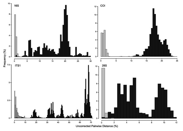 Frequency histograms of uncorrected pairwise distances (%) from 16S, COI, ITS1 and 28S alignments.