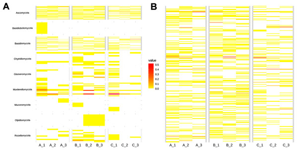 Heatmap showing soil fungal richness and abundance at the (A) phyla, and (B) species level across subsamples.