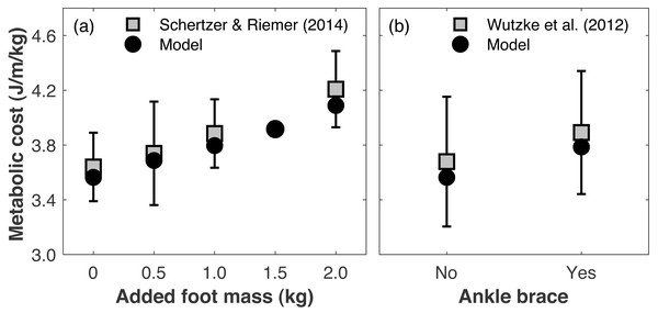 Gauging validity of model’s metabolic cost predictions vs. human experimental results.