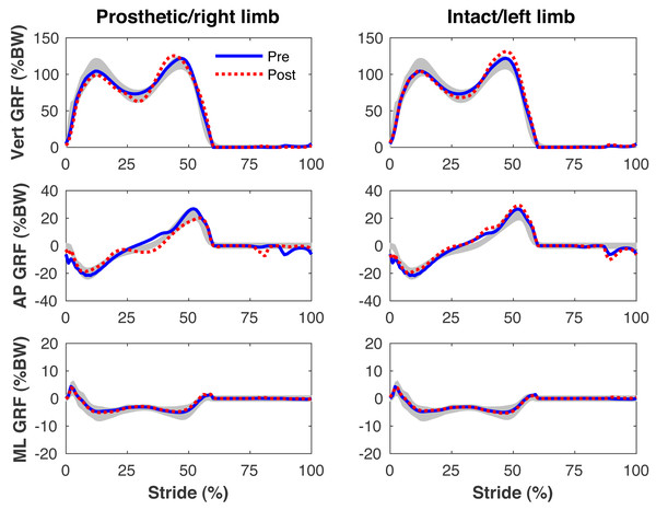 Simulated ground reaction forces.