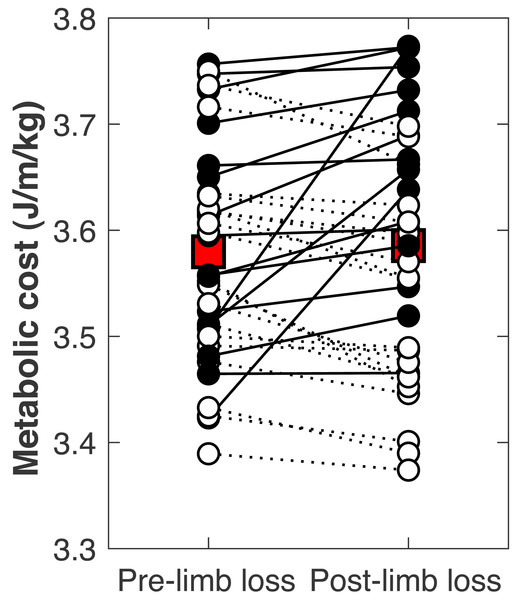 Subject-specific metabolic costs.