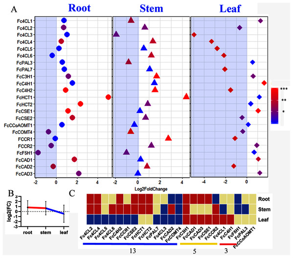 Expression change of bona fide clade genes in response to excess zinc stress in mulberry.