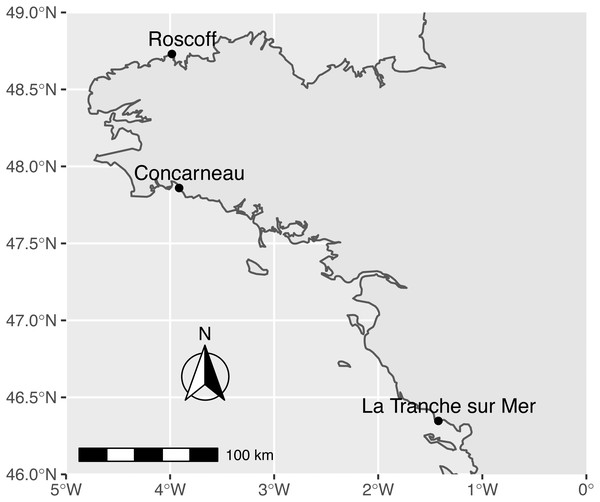 Molecular genetic diversity of seaweeds morphologically related to Ulva ...