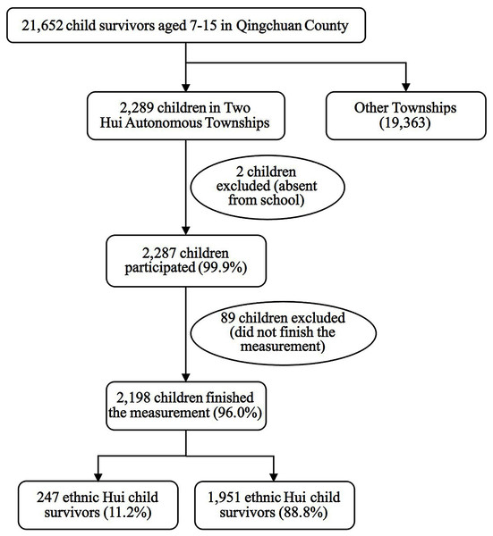 Sample selection process for child survivors in Hui Autonomous Townships, Qingchuan County.