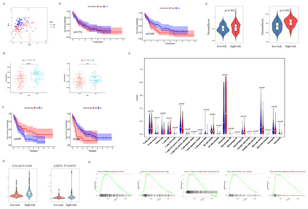 Analysis of differences between high- and low-risk subgroups (tumor microenvironment, immune cell infiltration, immune checkpoint regulators, and GSEA analysis).