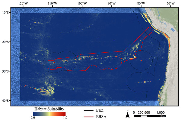 Predicted habitat suitability for the stony coral ensemble model.