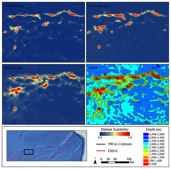 Ensemble models for demosponges, glass sponges, and stony corals showing a subset of highly suitable seamounts on the western side of the Salas y Gómez Ridge.