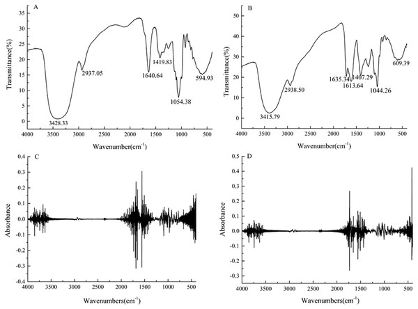 Fourier transform infrared spectra for the strawberry juice (A) and fermented beverage (B) and second-order derivative spectra with strawberry juice (C) and fermented beverage (D).