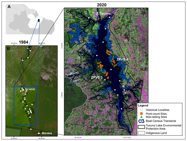 Map of the study area in eastern Brazilian Amazonia.