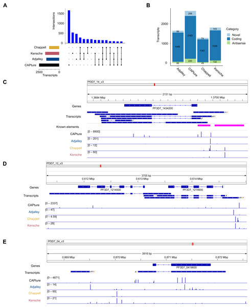 Annotation of 5′ capped transcripts in Plasmodium falciparum.