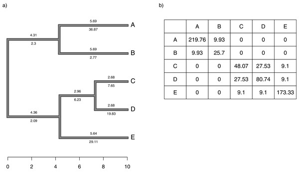 (A) Simple phylogeny of five taxa with the total edge length (above each branch) and σ2 rates (below it); (B) calculation of the expected variance covariance matrix of tip values for the trait x, T, given the branch length and rates of panel (A).