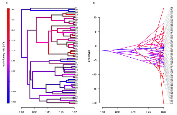 (A) Simulated evolutionary rates, σ2, in which the logarithm of the rate of evolution evolves by Brownian motion on the tree; (B) the phylogeny of panel (A) projected into a space defined by time (on the horizontal axis) and a simulated trait vector, x, obtained using the rates of panel (A).